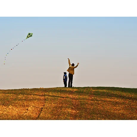 Let's Go Fly a Kite