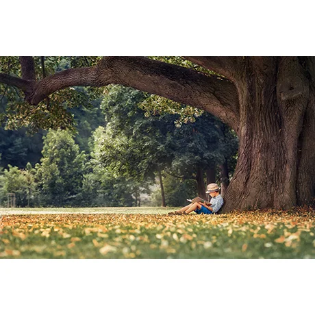 Reading Under the Big Tree
