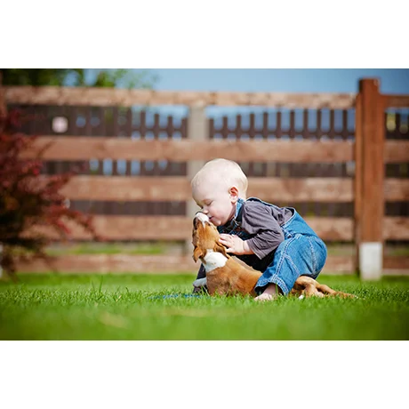 Puppy Kisses