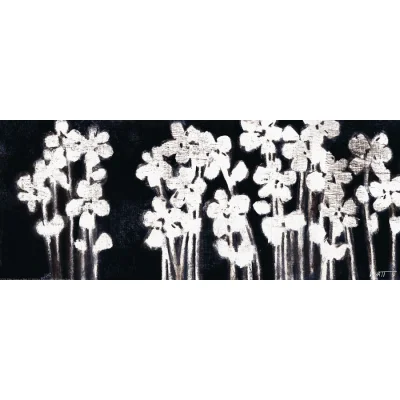 White Flowers on Black I