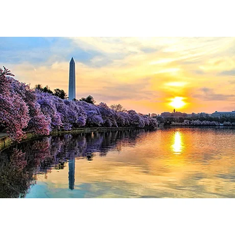 Washington Monument at Sunset