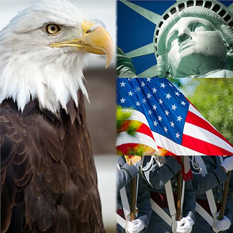 Patriotic Collage I
