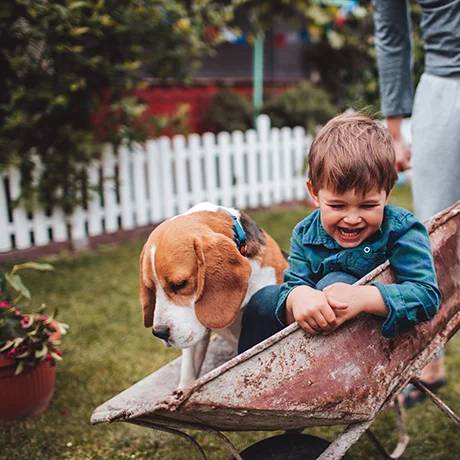 Boy and his Dog