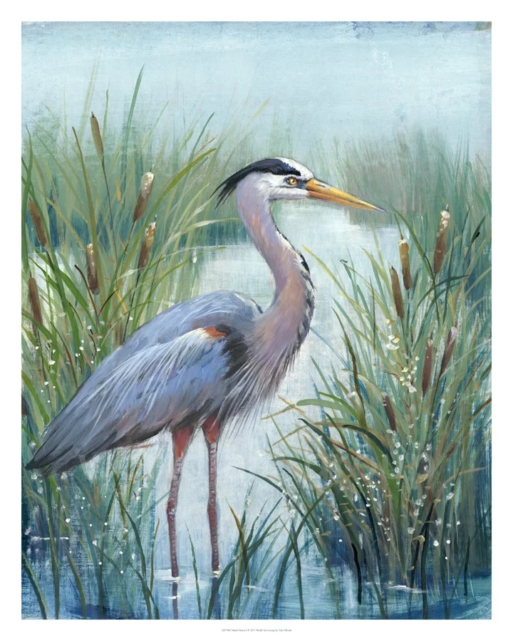 Marsh Heron I