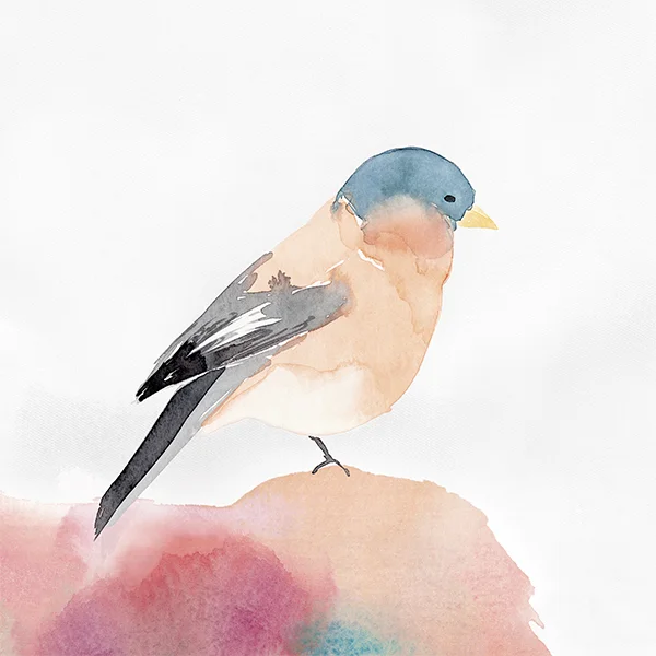 Chickadee I