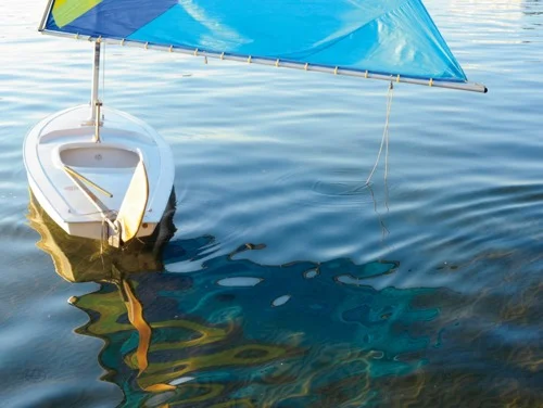 Summer Reflection