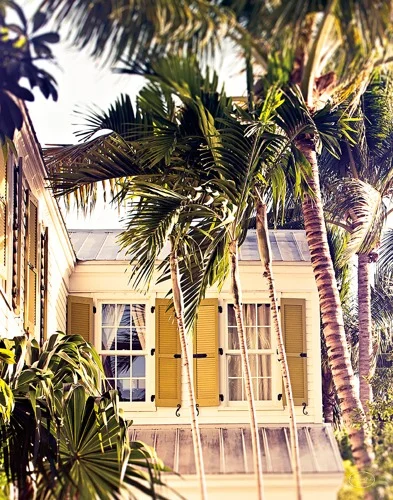 Palm Breezes