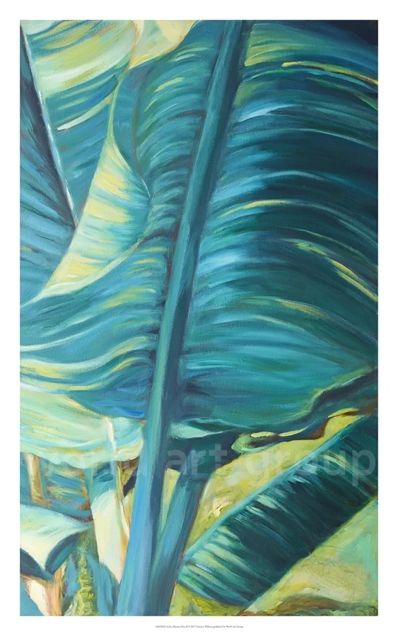Green Banana Duo II