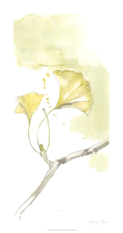 Ginkgo Triptych I