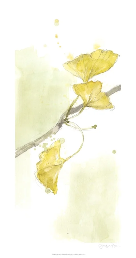 Ginkgo Triptych II