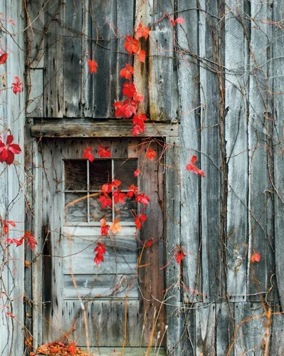 Rustic Autumn