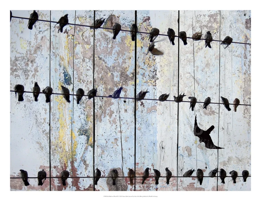 Birds on Wood IV
