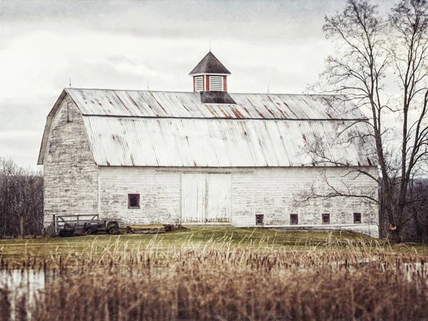 Barn by Pond