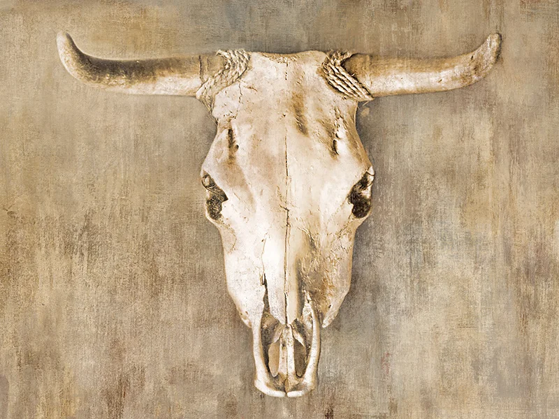 Steer