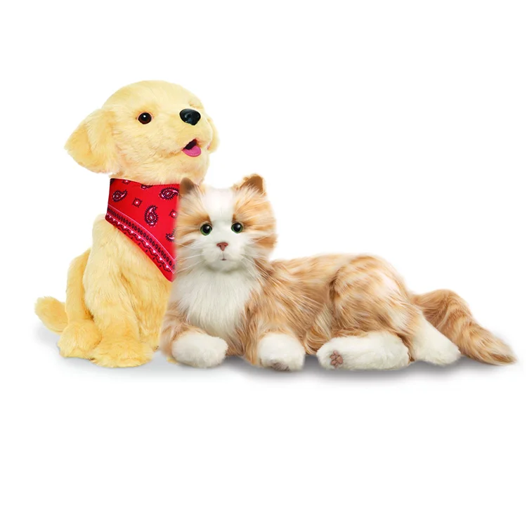 Integrative Pets