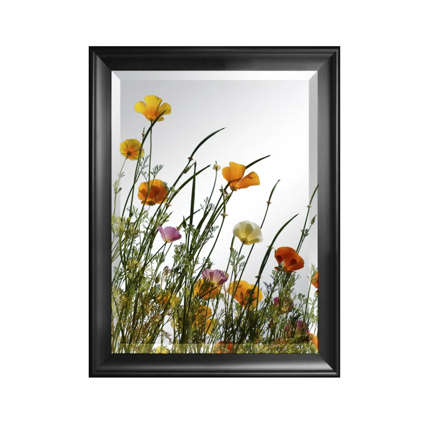 print-on-mirror-1.jpg