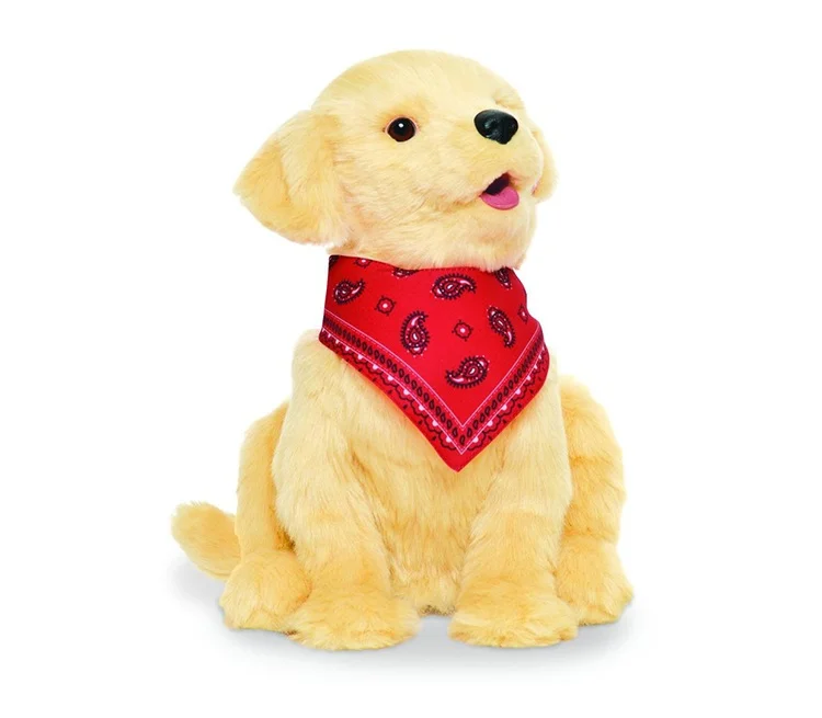 INT-Dog.jpg