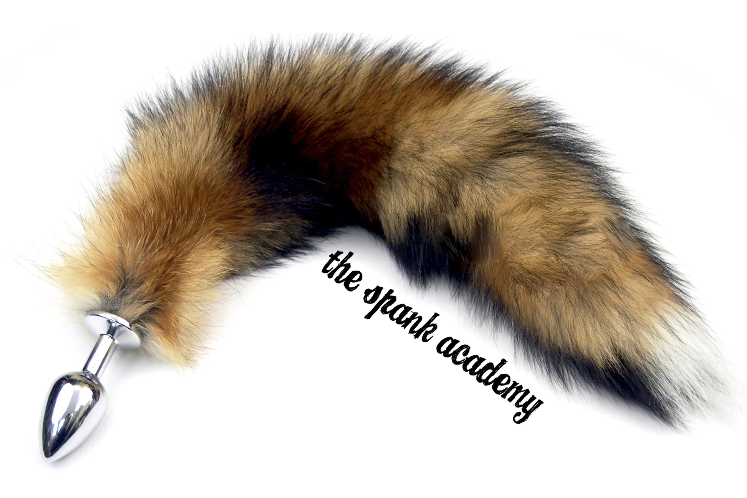 regular red fox.jpg