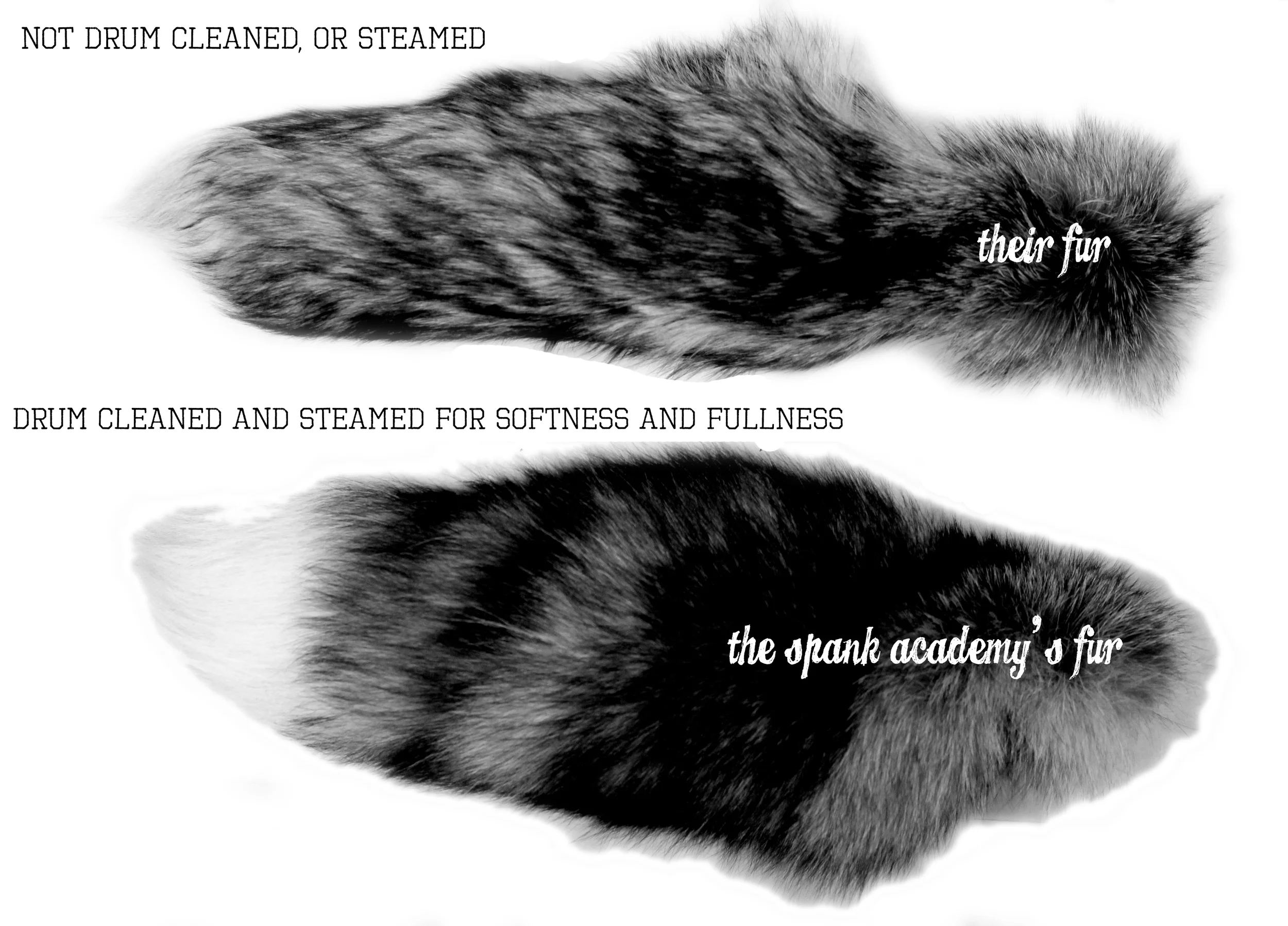 Compare for yourself The Spank Academy difference!