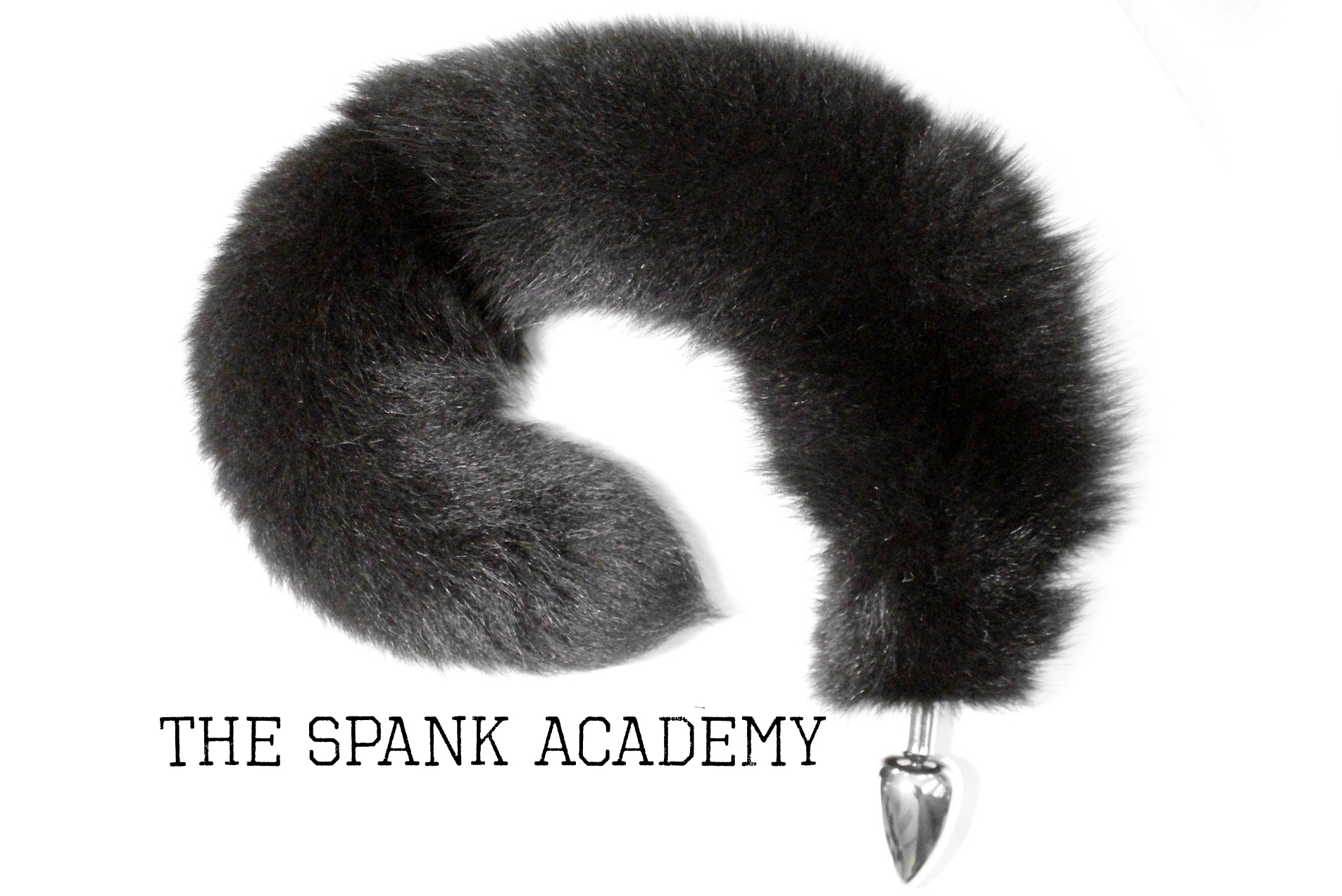 27 in black fox.jpg