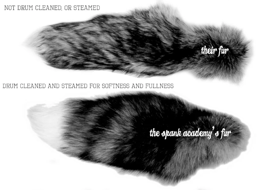 cleaned and steamed vs not.jpg