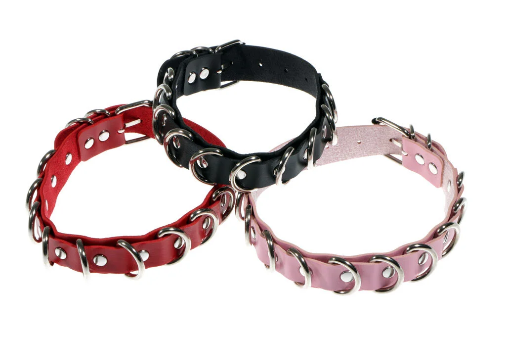 collar-d-rings-4.jpg