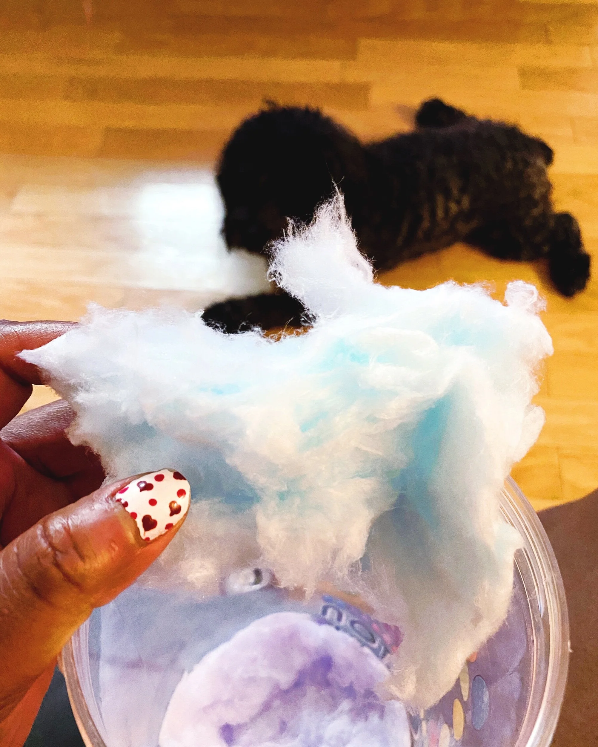 Life is a collection of tiny perfect moments.