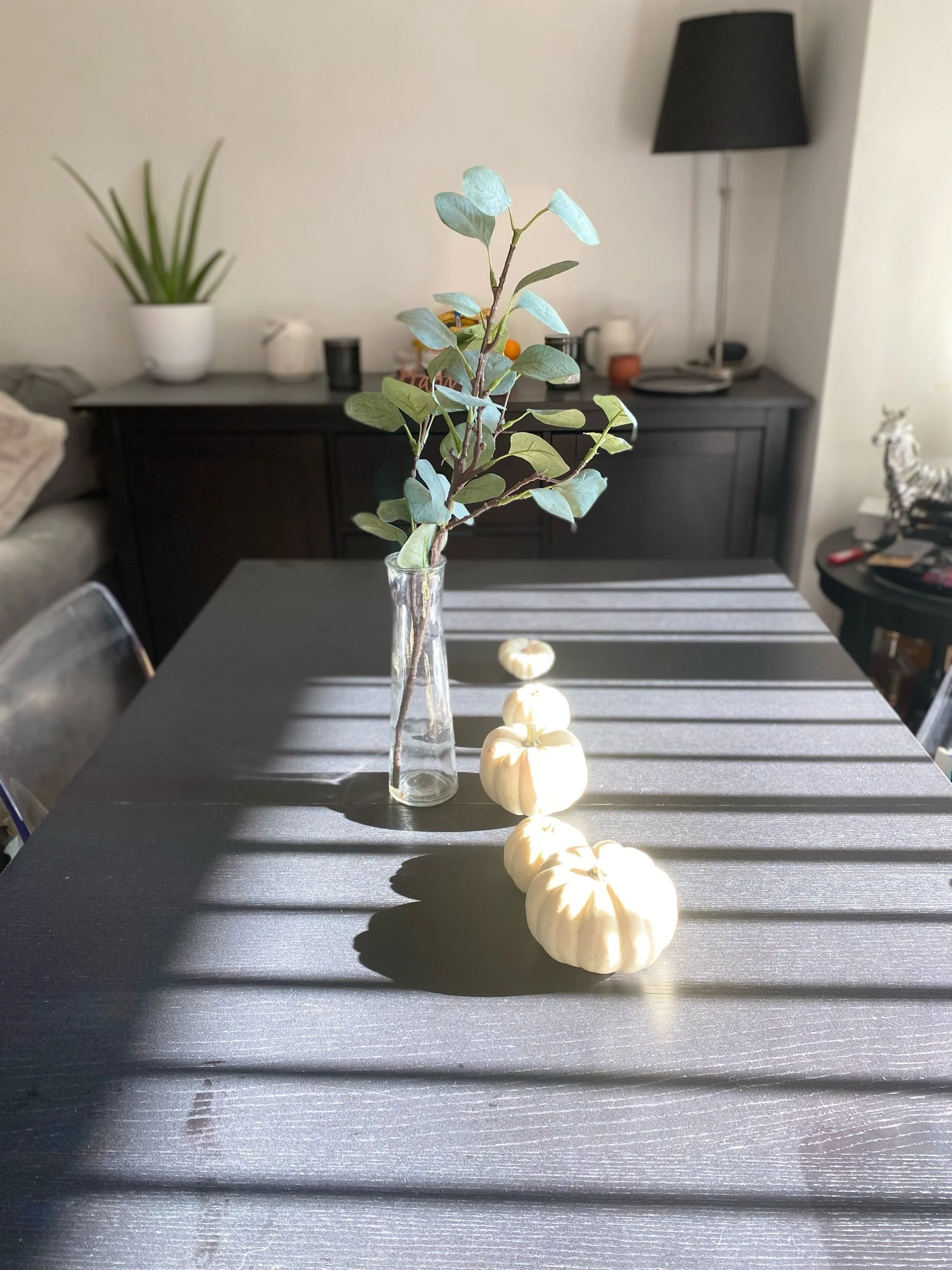 Finding Joy in the Everyday