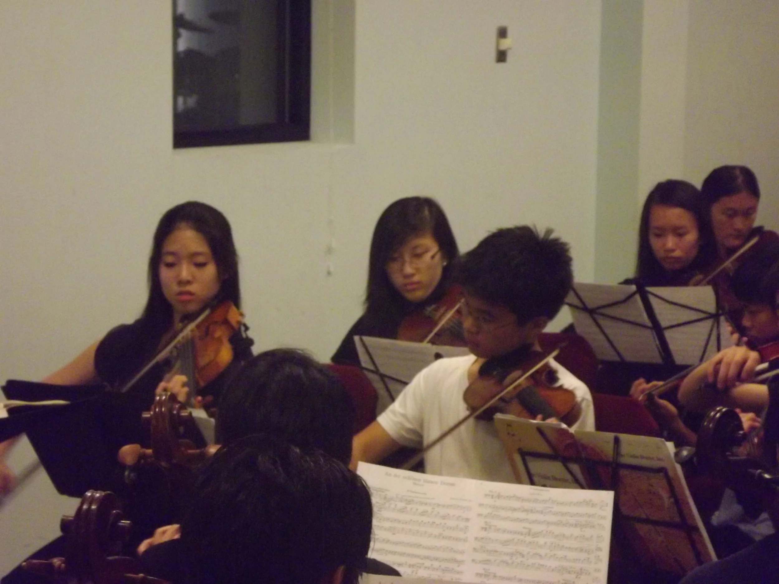 Violin 1 Section.jpg