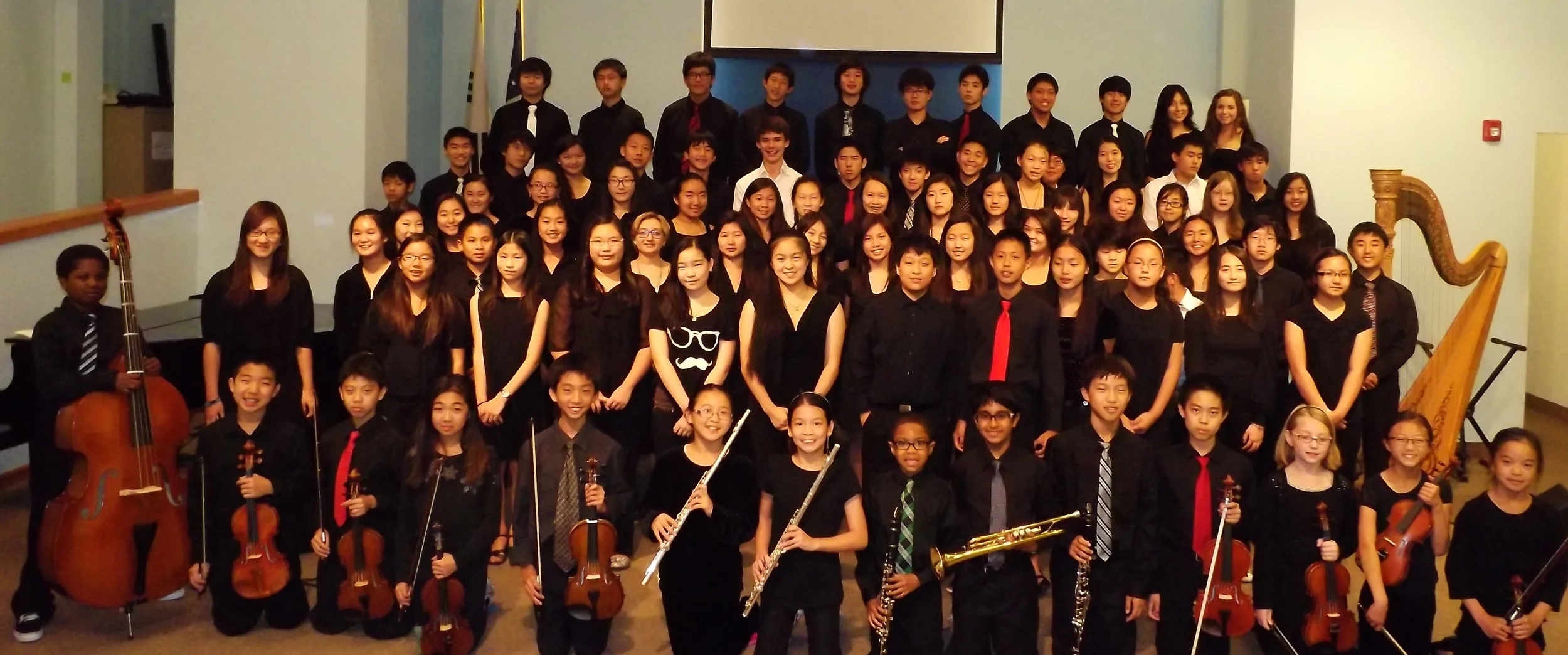 2013-2014 Bravura Youth Ensembles