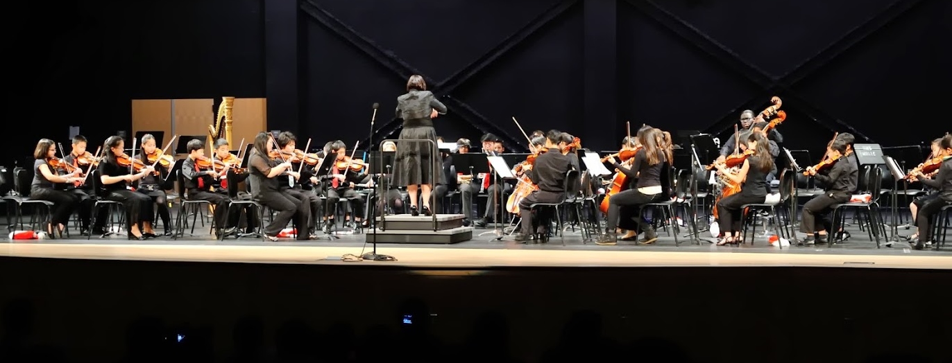 Ms. Gonsky conducting the Ensemble