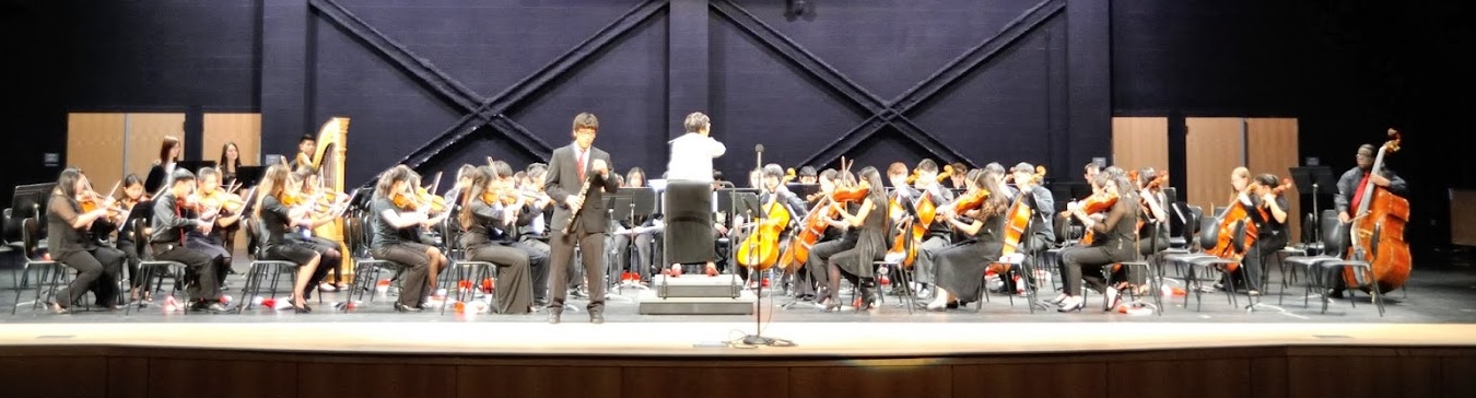 Ms. Lin conducting the Sinfonia