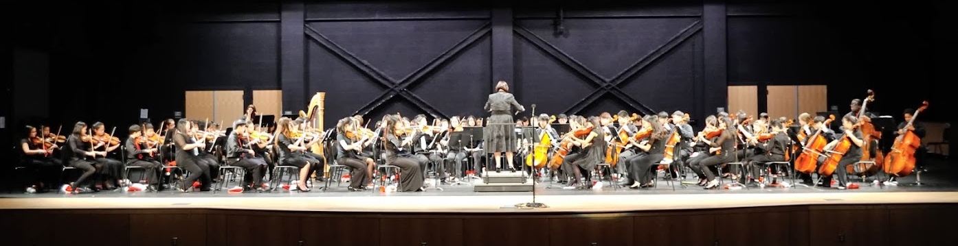 Ms. Gonsky conducting the combined Bravura Youth orchestras