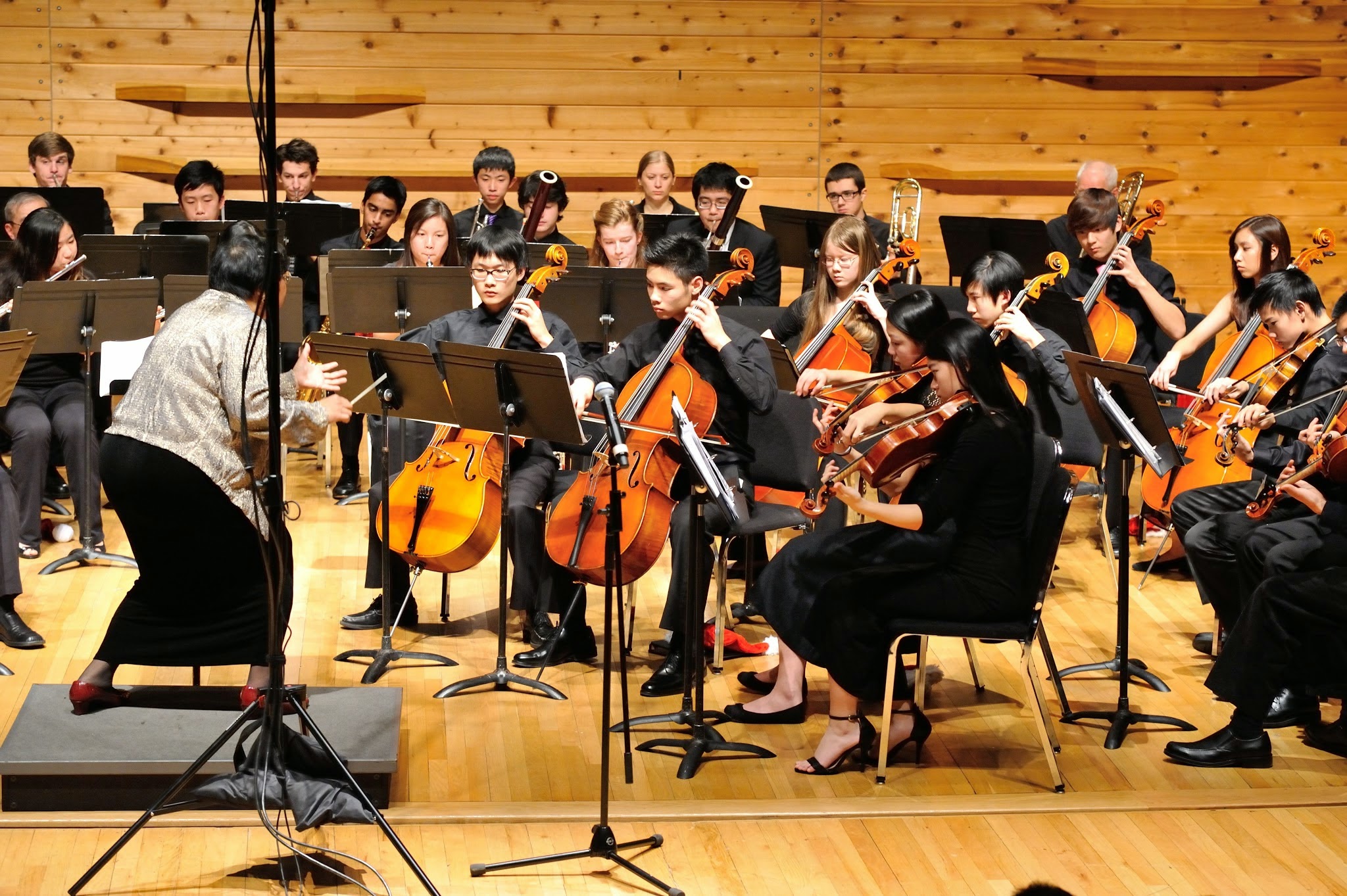 Ms. Lin engages with the lower strings