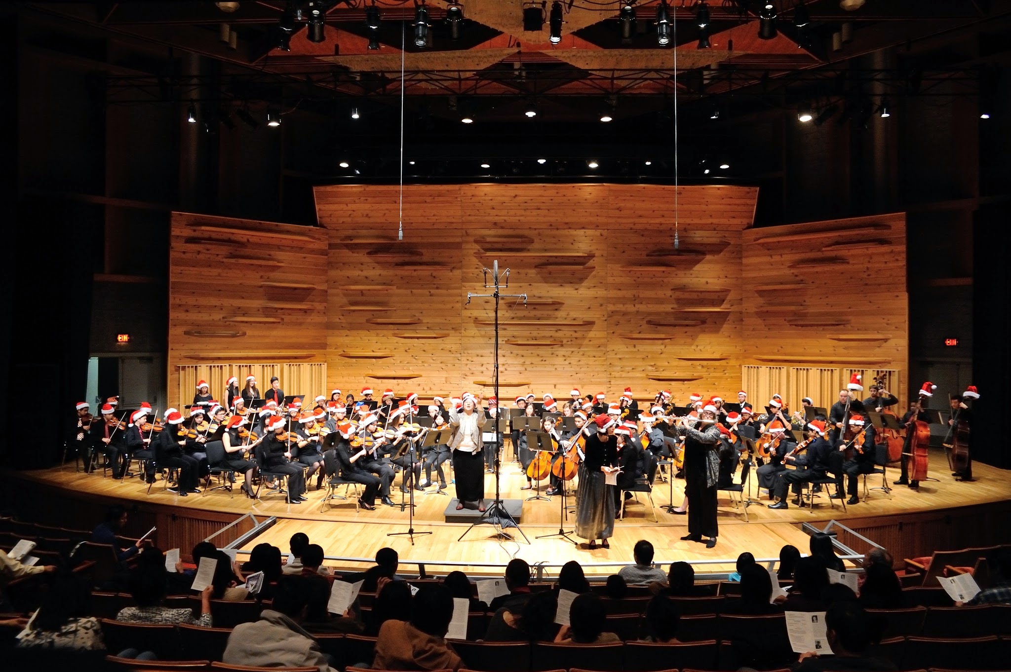 The whole orchestra together