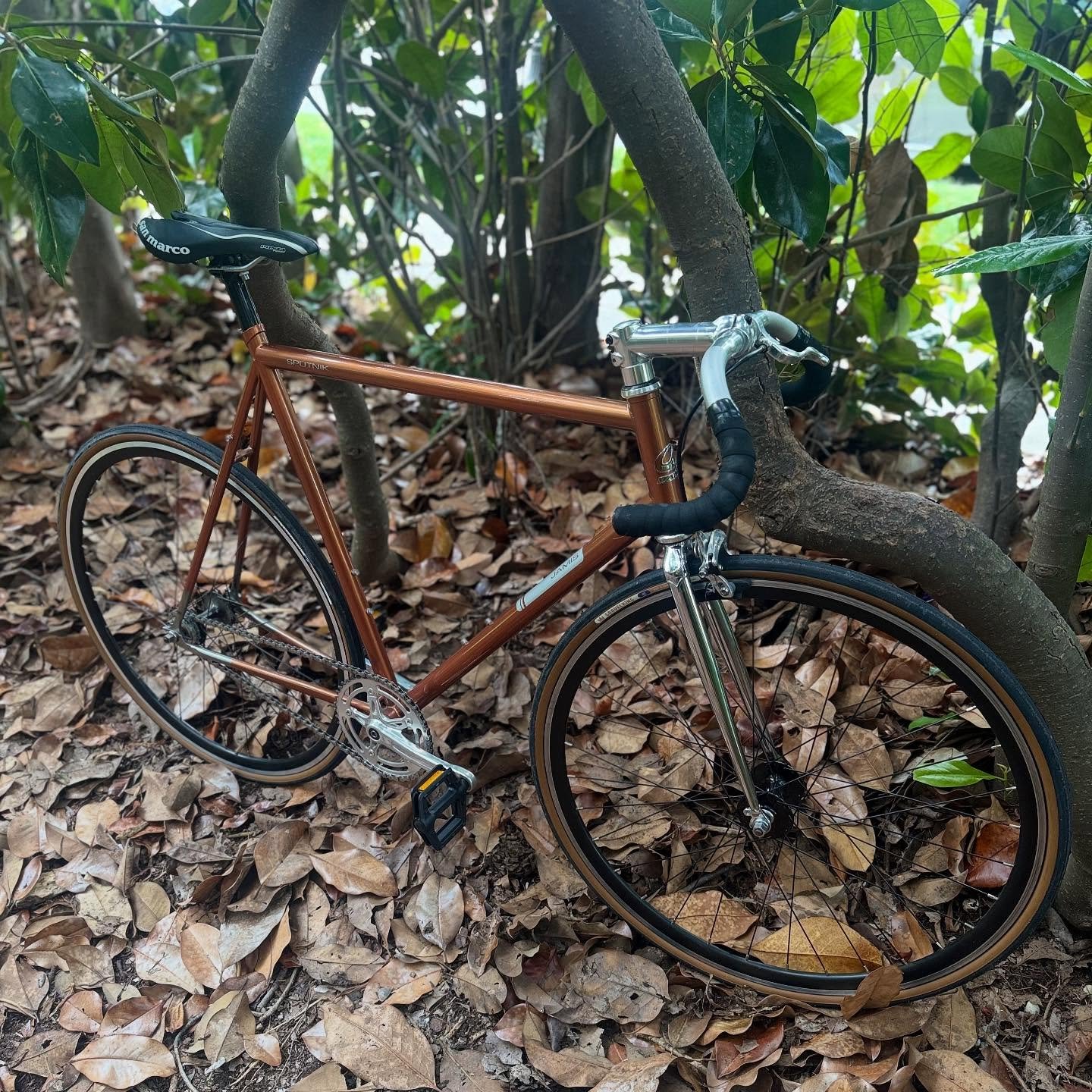π²Single Speed City Bike π²
59 cm Jamis Sputnik
Flip-flop hub, Major Taylor Bars, not a scratch on it
Solid Ride, Steel is Real, do it!
