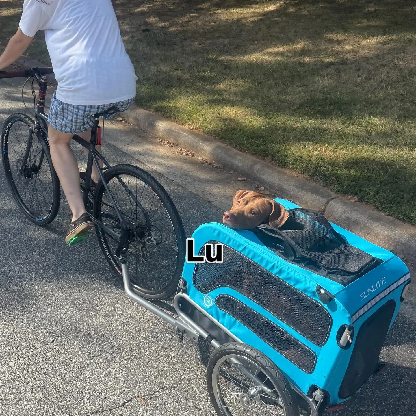 Lu trying her best to learn how to ride behind a bike, @sensuousscents.us making the night cool and Theo standing in front of his new college cruiser…. Ride on nerds