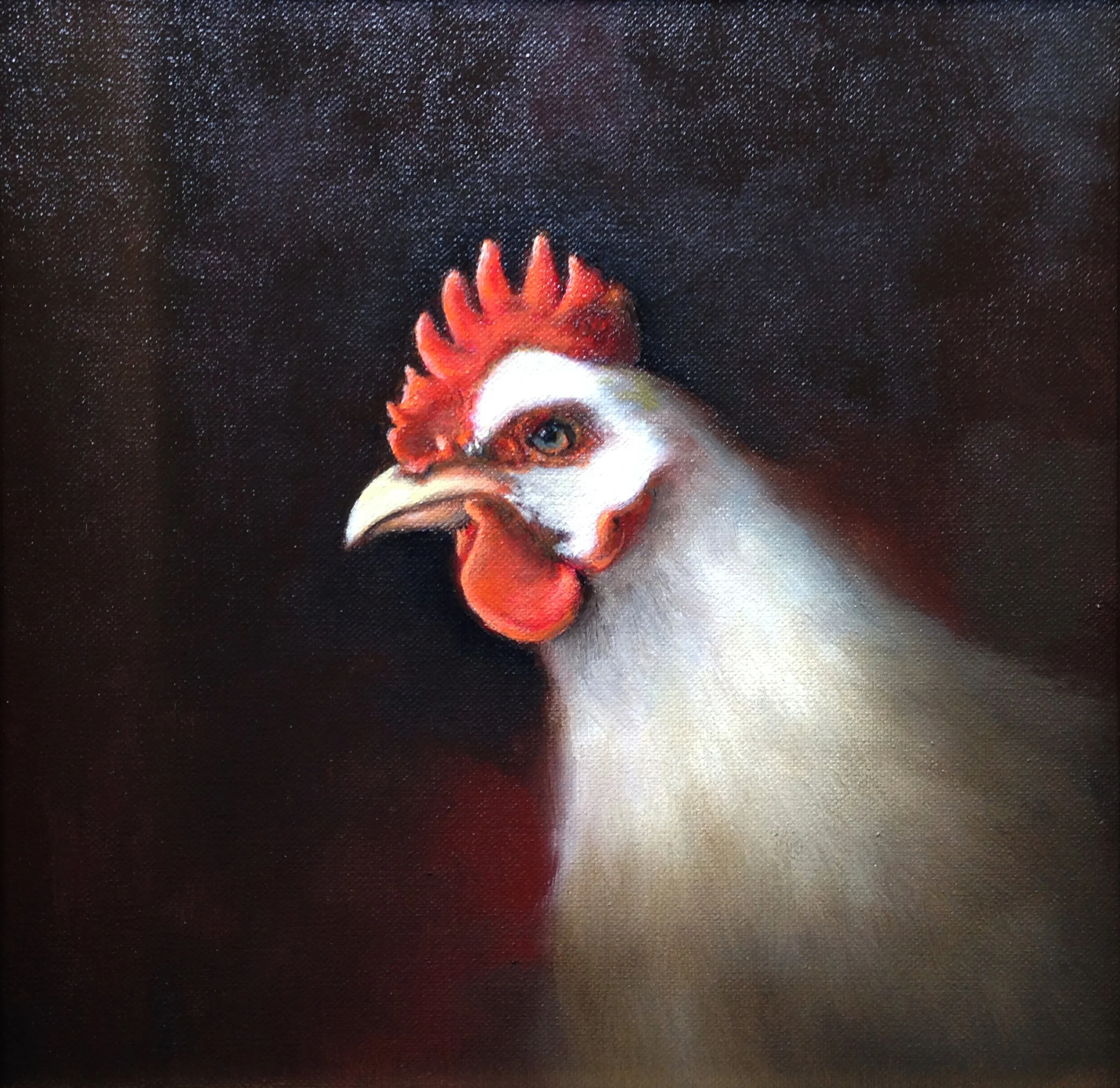 Rooster.jpg
