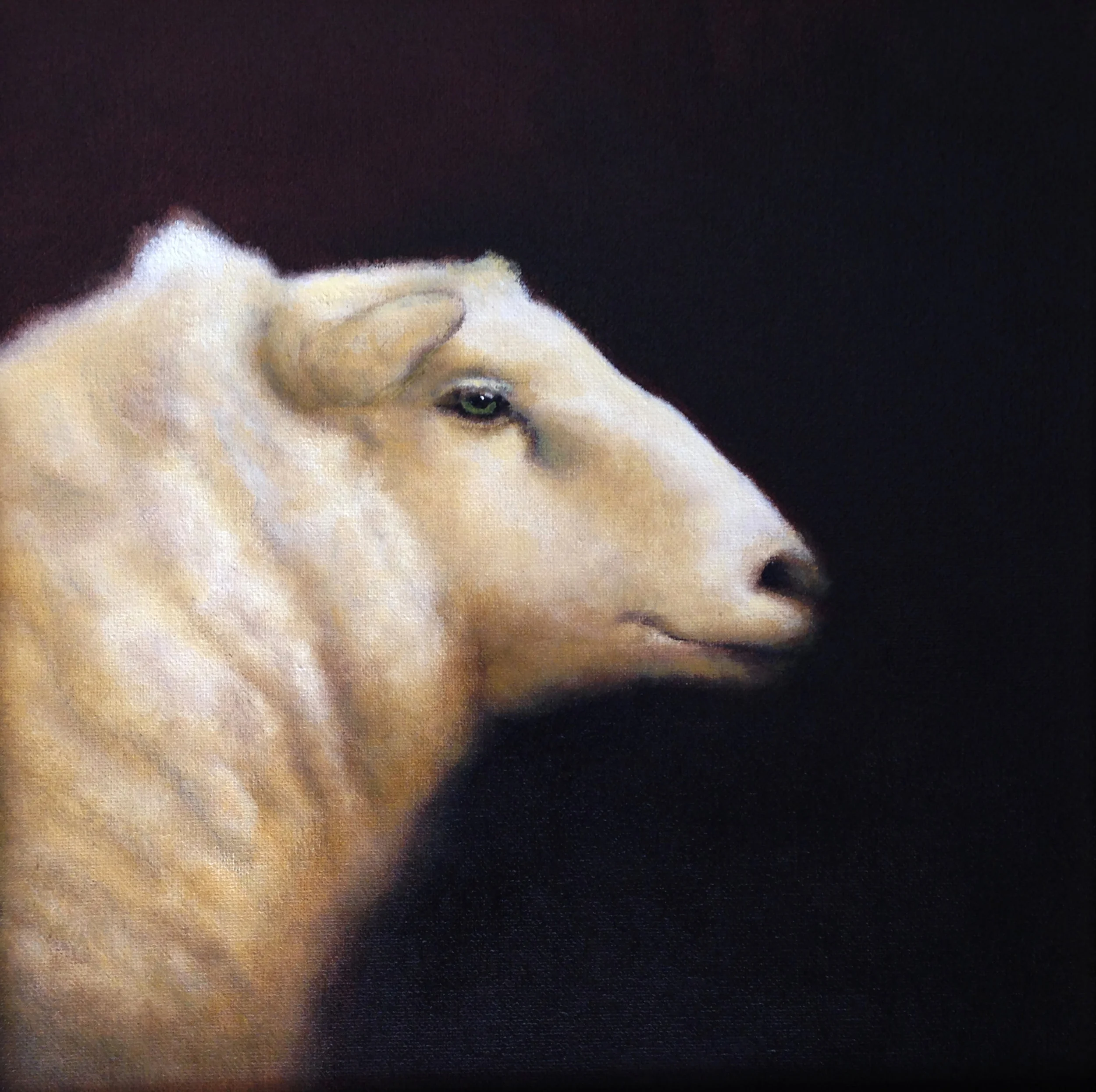 Sheep head2.jpg