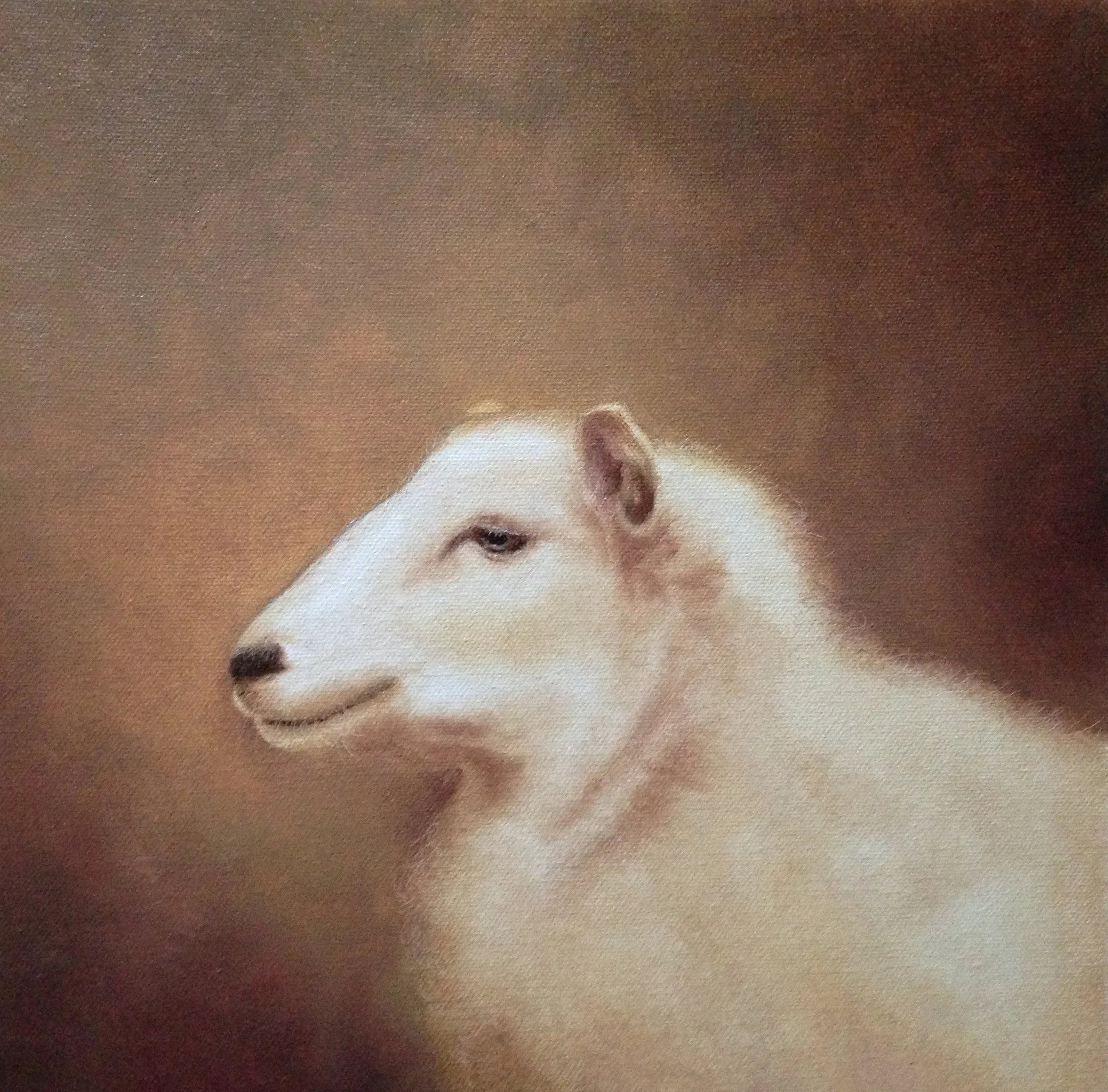 sheep3.jpg
