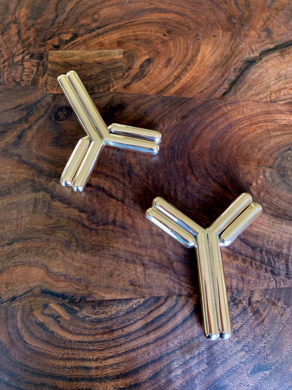antibodies2.jpg