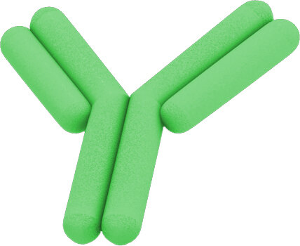 image1.jpeg