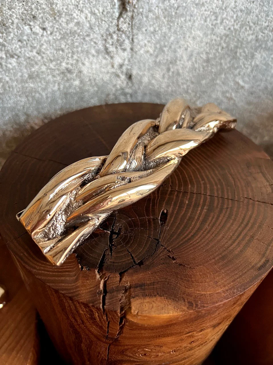 Bully stick, aka pizzle stick