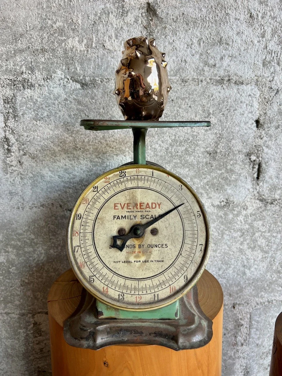 Horned Melon — PEARCE