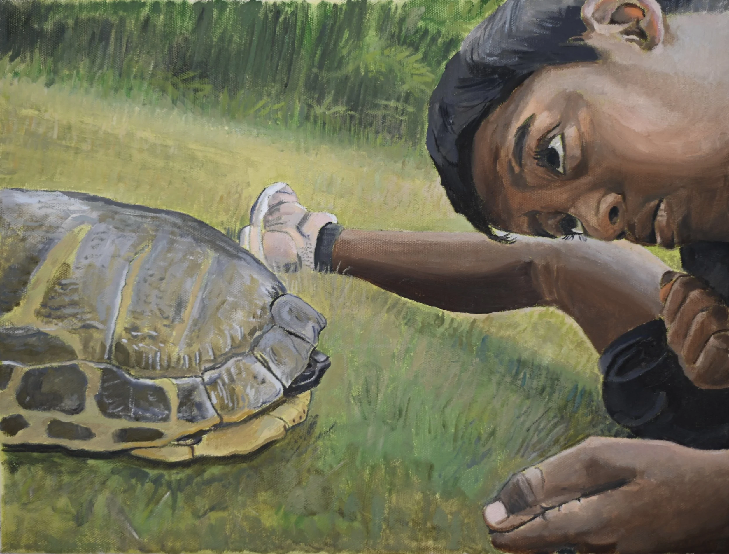 Raj turtle.JPG