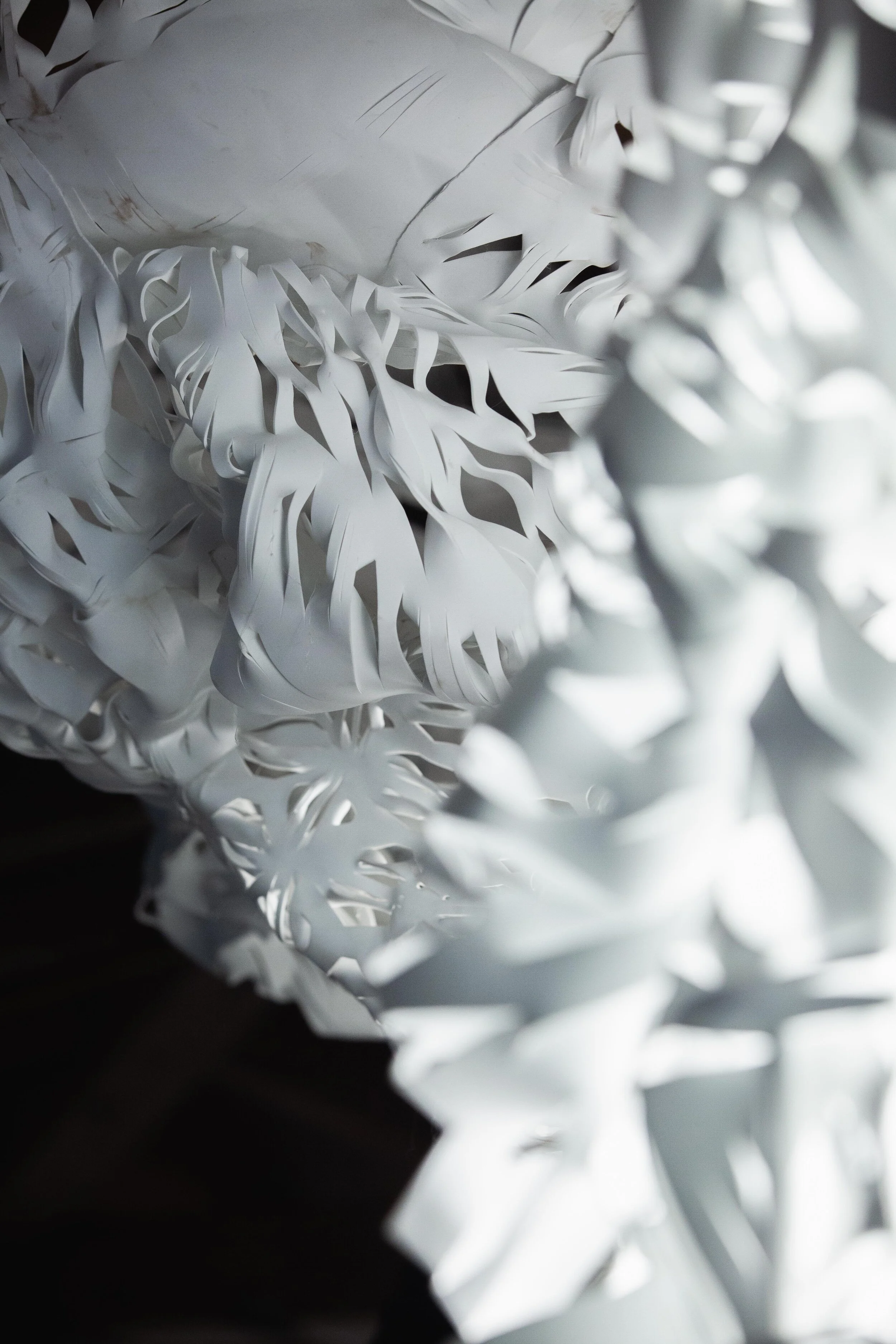  Womb Portal (detail)  image by: Zach Villafana 