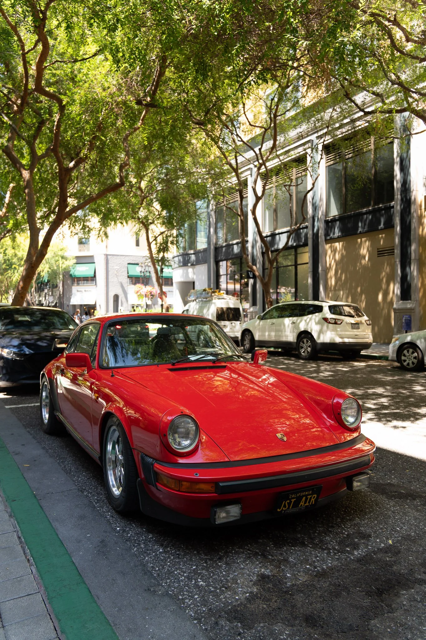 DSC05415-.jpg