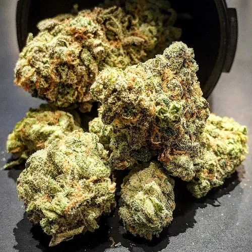 strains.jpeg