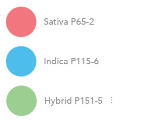 pantone-strain-type.jpg