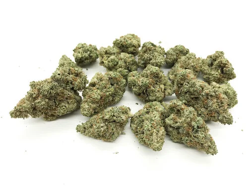 AlienOG+(1).jpg